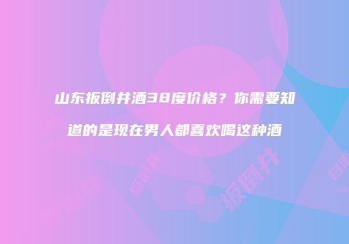 山东扳倒井酒38度价格？你需要知道的是现在男人都喜欢喝这种酒