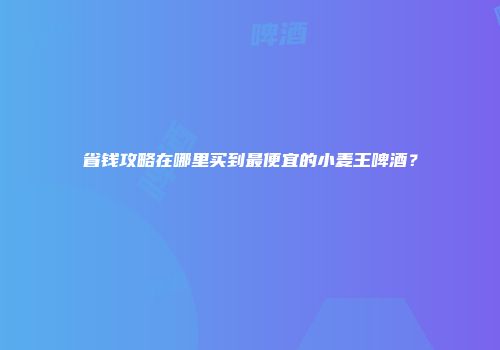 省钱攻略在哪里买到最便宜的小麦王啤酒？