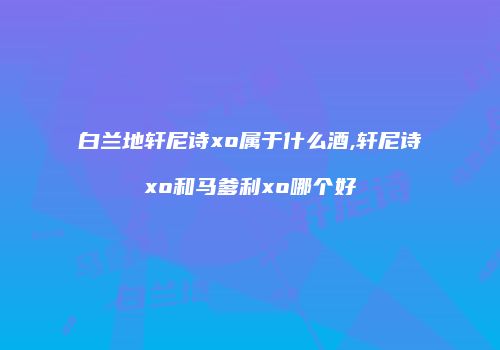 白兰地轩尼诗xo属于什么酒,轩尼诗xo和马爹利xo哪个好
