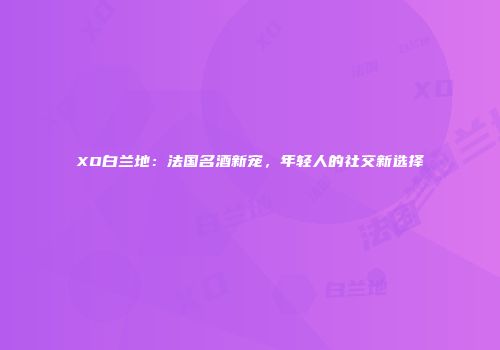 XO白兰地：法国名酒新宠，年轻人的社交新选择
