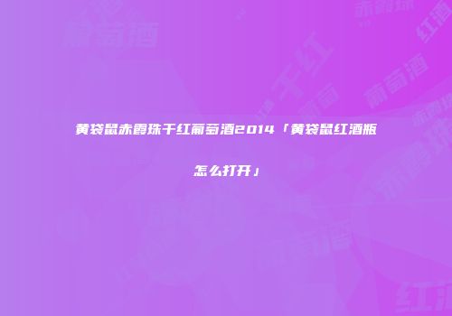 黄袋鼠赤霞珠干红葡萄酒2014「黄袋鼠红酒瓶怎么打开」
