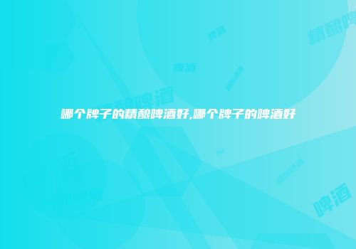 哪个牌子的精酿啤酒好,哪个牌子的啤酒好