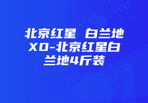 北京红星 白兰地XO-北京红星白兰地4斤装