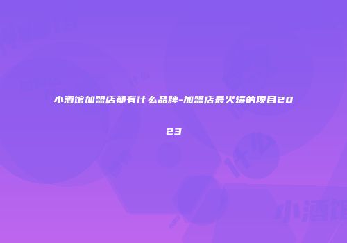 小酒馆加盟店都有什么品牌-加盟店最火爆的项目2023