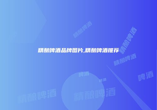精酿啤酒品牌图片,精酿啤酒推荐