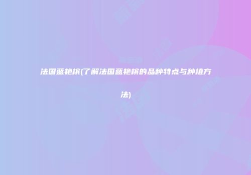 法国蓝艳槟(了解法国蓝艳槟的品种特点与种植方法)