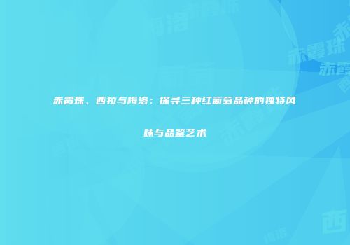 赤霞珠、西拉与梅洛：探寻三种红葡萄品种的独特风味与品鉴艺术