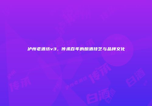 泸州老酒坊v3，传承百年的酿酒技艺与品牌文化