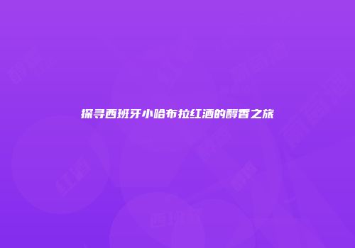 探寻西班牙小哈布拉红酒的醇香之旅