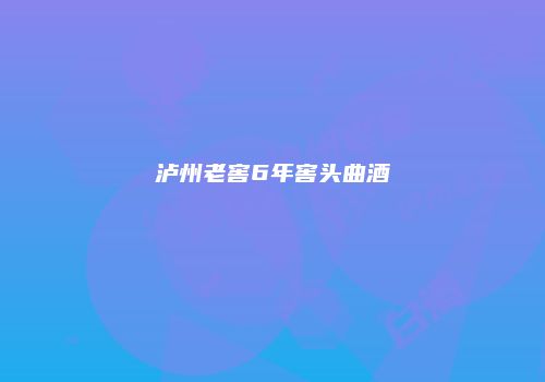 泸州老窖6年窖头曲酒
