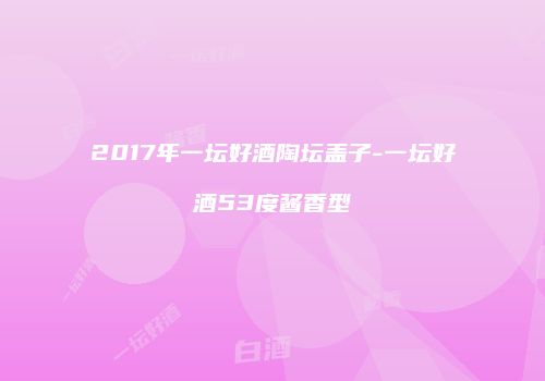 2017年一坛好酒陶坛盖子-一坛好酒53度酱香型