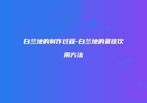 白兰地的制作过程-白兰地的最佳饮用方法