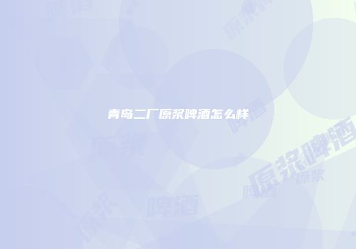 青岛二厂原浆啤酒怎么样