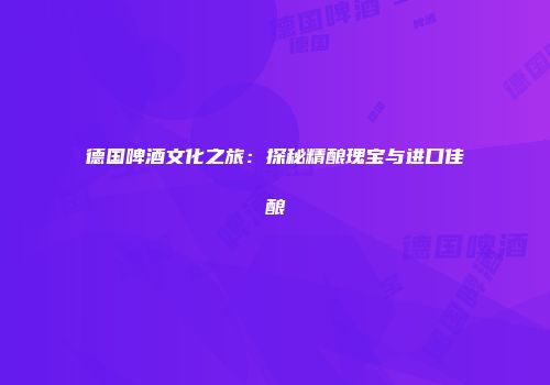 德国啤酒文化之旅：探秘精酿瑰宝与进口佳酿