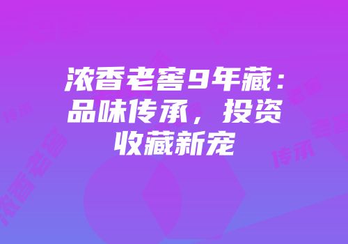 浓香老窖9年藏：品味传承，投资收藏新宠