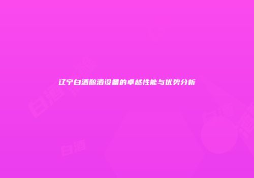 辽宁白酒酿酒设备的卓越性能与优势分析