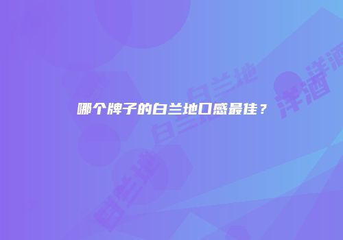 哪个牌子的白兰地口感最佳？