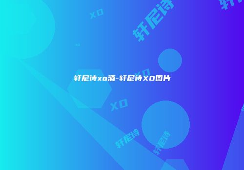 轩尼诗xo酒-轩尼诗XO图片