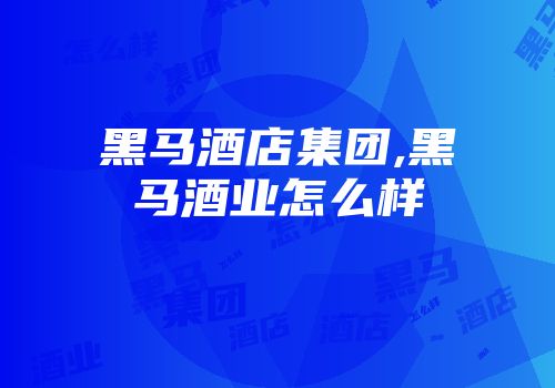 黑马酒店集团,黑马酒业怎么样
