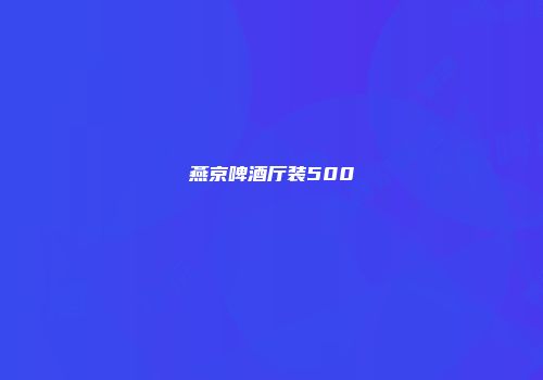 燕京啤酒厅装500