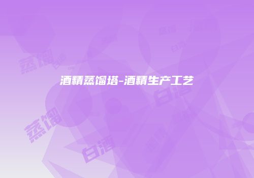 酒精蒸馏塔-酒精生产工艺