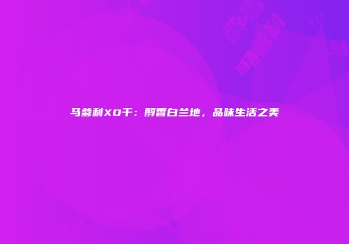 马爹利XO干：醇香白兰地，品味生活之美