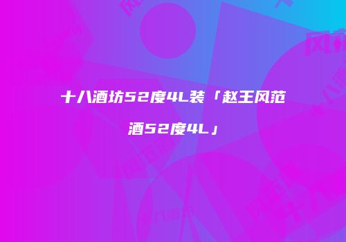 十八酒坊52度4L装「赵王风范酒52度4L」
