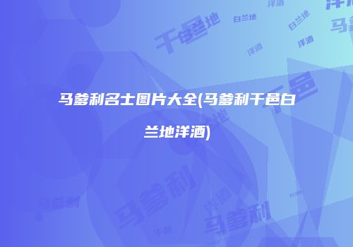 马爹利名士图片大全(马爹利干邑白兰地洋酒)