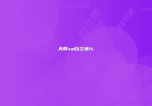 天醇xo白兰地1L