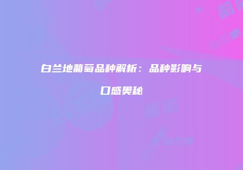 白兰地葡萄品种解析：品种影响与口感奥秘