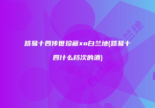 路易十四传世珍藏xo白兰地(路易十四什么档次的酒)