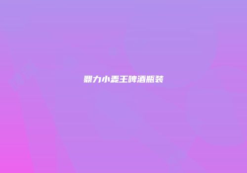 鼎力小麦王啤酒瓶装