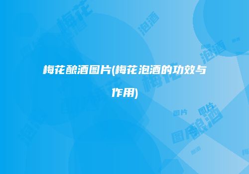 梅花酿酒图片(梅花泡酒的功效与作用)