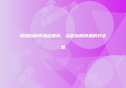 深圳自制啤酒店推荐，品尝自酿啤酒的好去处