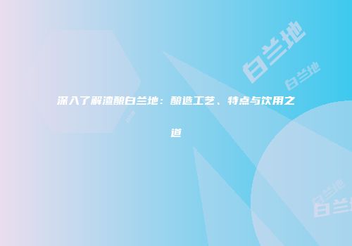 深入了解渣酿白兰地：酿造工艺、特点与饮用之道