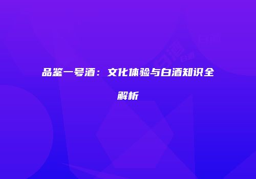品鉴一号酒：文化体验与白酒知识全解析