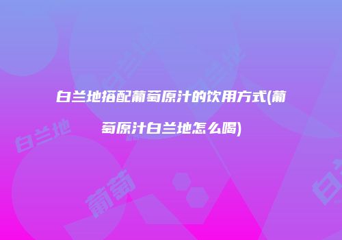 白兰地搭配葡萄原汁的饮用方式(葡萄原汁白兰地怎么喝)