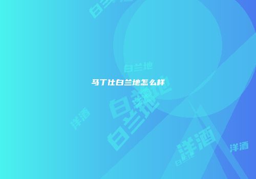 马丁仕白兰地怎么样
