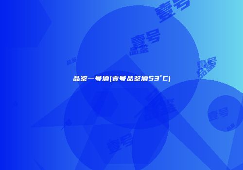 品鉴一号酒(壹号品鉴酒53°C)