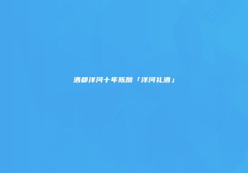酒都洋河十年陈酿「洋河礼酒」