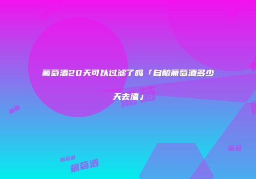葡萄酒20天可以过滤了吗「自酿葡萄酒多少天去渣」