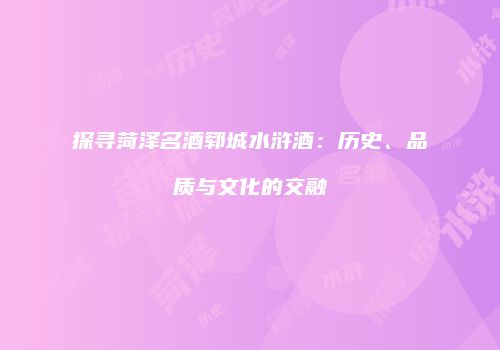 探寻菏泽名酒郓城水浒酒：历史、品质与文化的交融