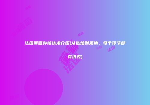 法国葡萄种植技术介绍(从选地到采摘，每个环节都有讲究)
