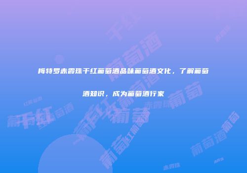 梅特罗赤霞珠干红葡萄酒品味葡萄酒文化，了解葡萄酒知识，成为葡萄酒行家