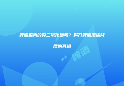 啤酒里真的有二氧化碳吗？揭开啤酒泡沫背后的真相