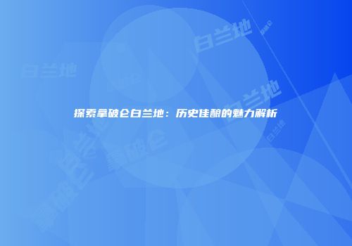 探索拿破仑白兰地：历史佳酿的魅力解析