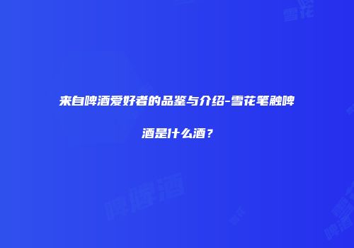 来自啤酒爱好者的品鉴与介绍-雪花笔触啤酒是什么酒？