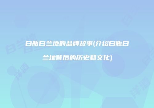 白瓶白兰地的品牌故事(介绍白瓶白兰地背后的历史和文化)