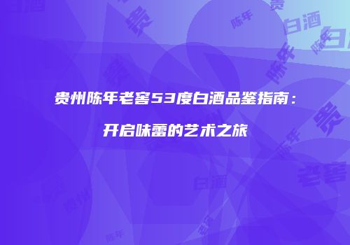 贵州陈年老窖53度白酒品鉴指南：开启味蕾的艺术之旅