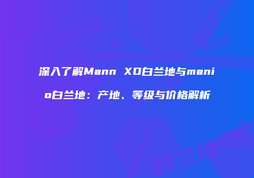 深入了解Mann XO白兰地与manio白兰地：产地、等级与价格解析